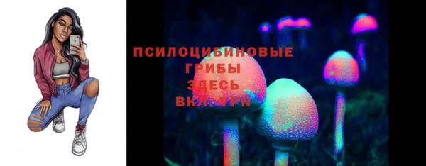 меф Инсар