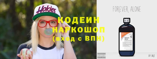 спиды Иннополис