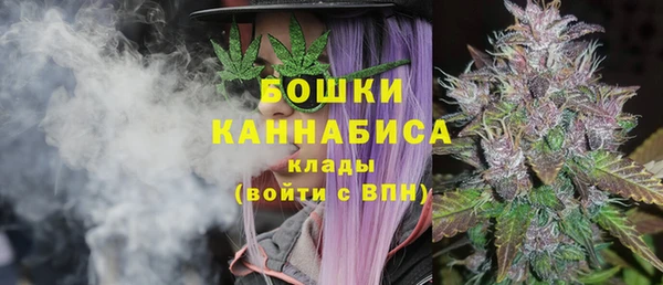 бутират Инта