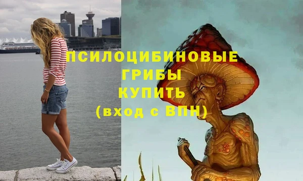 спиды Иннополис