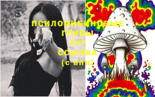 спиды Иннополис